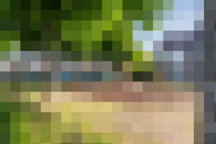 Hendrik Tollensdreef 144 Goirle thumbnail 29