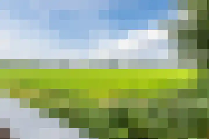 Hendrik Tollensdreef 144 Goirle thumbnail 30