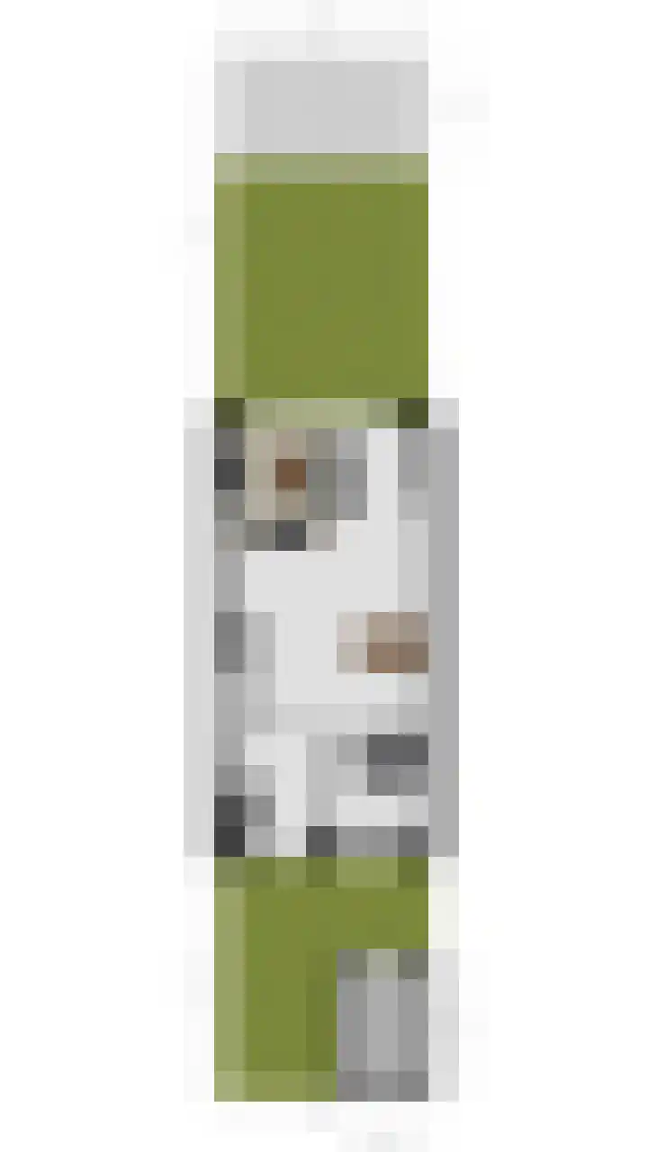 Hendrik Tollensdreef 144 Goirle thumbnail 34