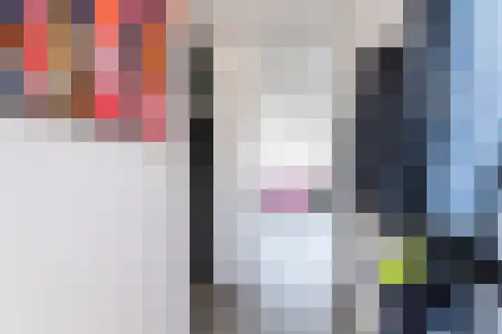 Hendrik Tollensdreef 144 Goirle thumbnail 8