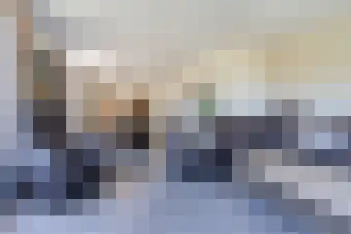 Hendrik Tollensdreef 30 Goirle thumbnail 12