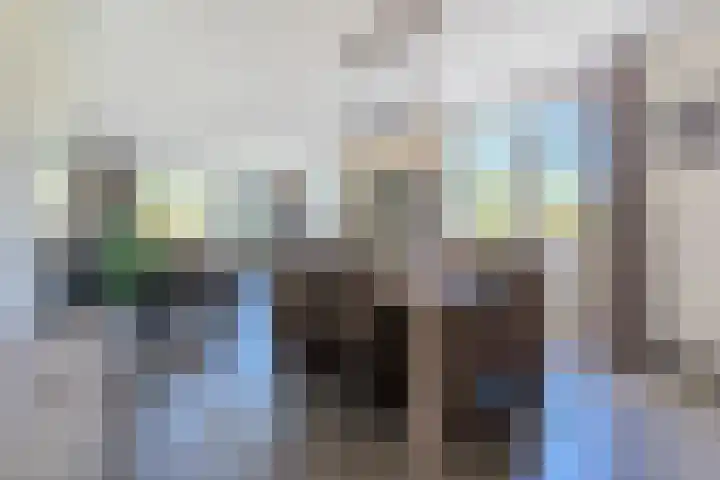 Hendrik Tollensdreef 30 Goirle thumbnail 14