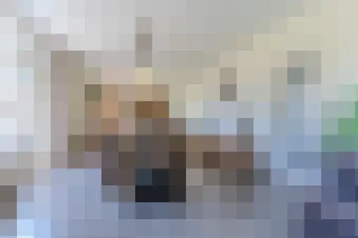 Hendrik Tollensdreef 30 Goirle thumbnail 15