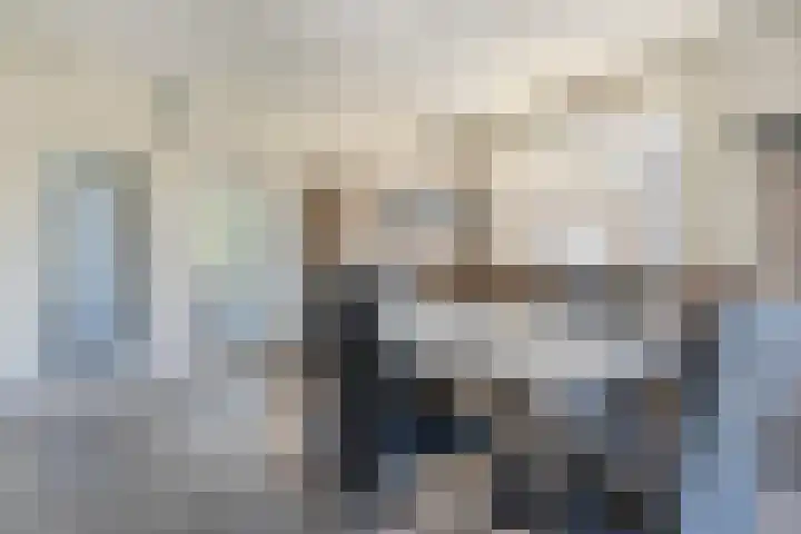 Hendrik Tollensdreef 30 Goirle thumbnail 17