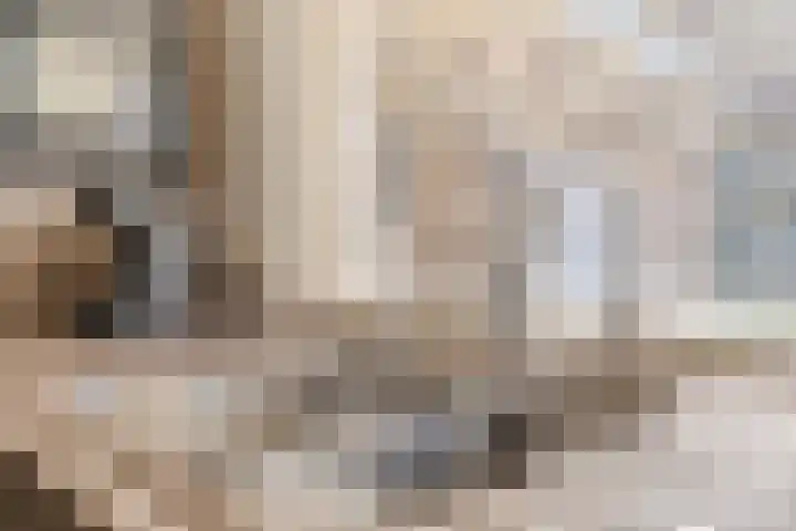 Hendrik Tollensdreef 30 Goirle thumbnail 19