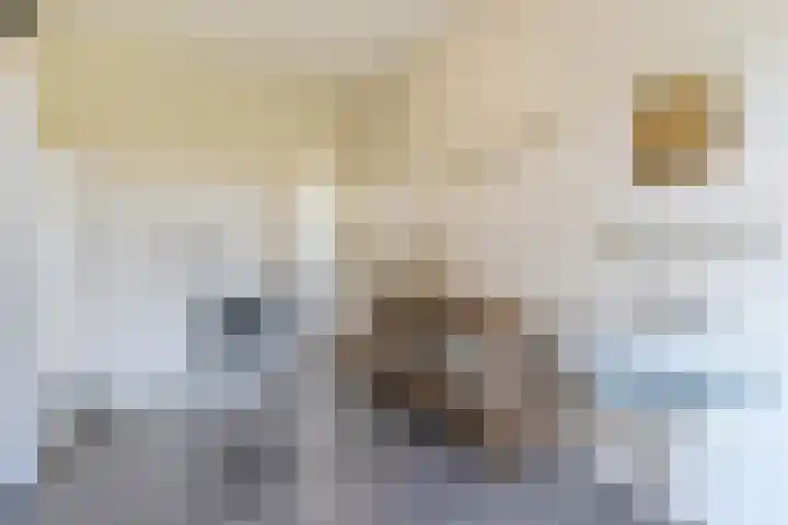 Hendrik Tollensdreef 30 Goirle thumbnail 21