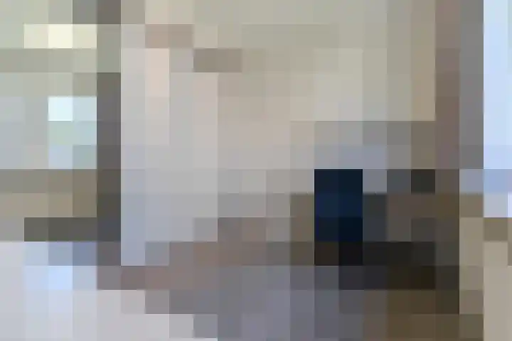 Hendrik Tollensdreef 30 Goirle thumbnail 22