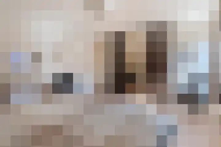 Hendrik Tollensdreef 30 Goirle thumbnail 26