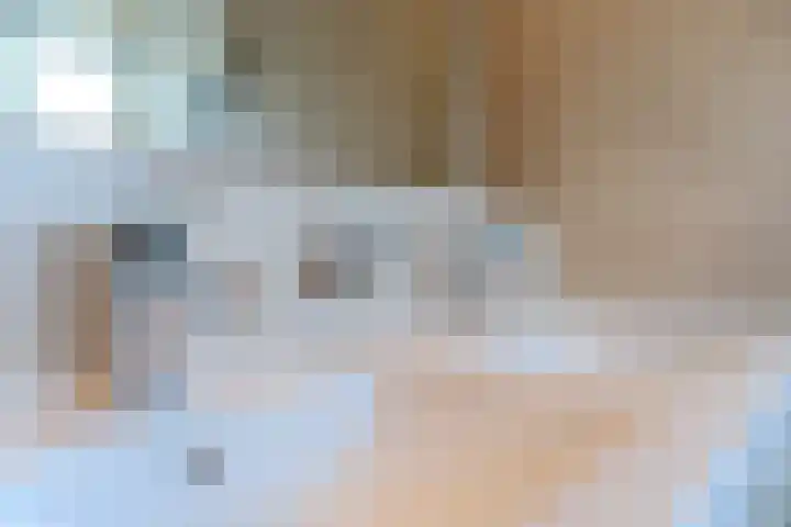 Hendrik Tollensdreef 30 Goirle thumbnail 41