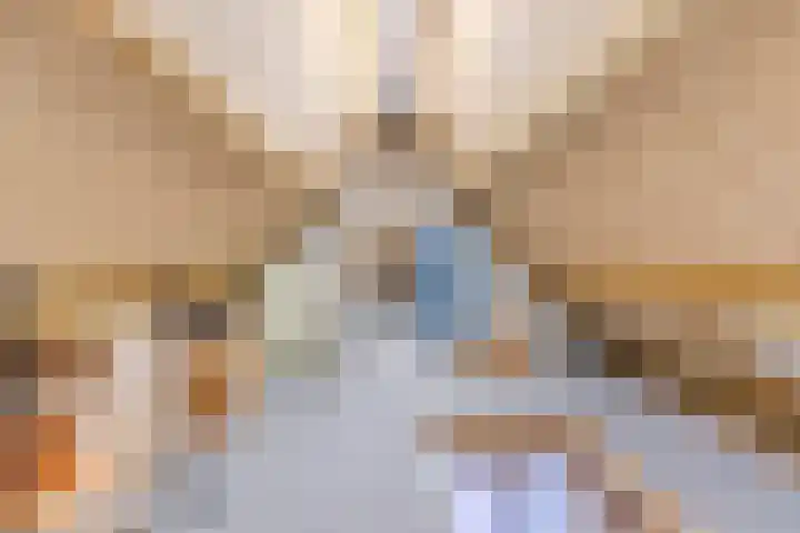 Hendrik Tollensdreef 30 Goirle thumbnail 44