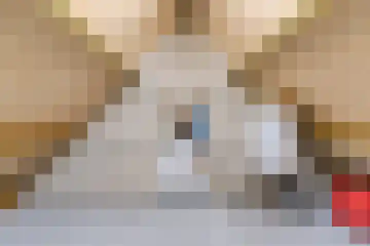 Hendrik Tollensdreef 30 Goirle thumbnail 45