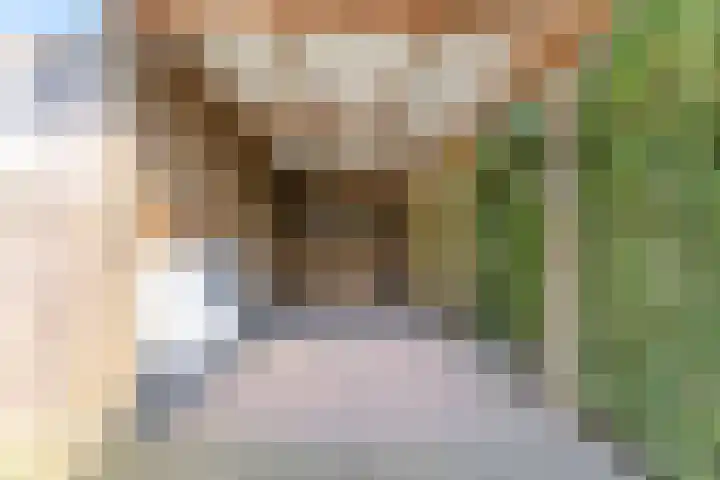 Hendrik Tollensdreef 30 Goirle thumbnail 48