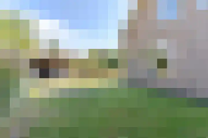 Hendrik Tollensdreef 30 Goirle thumbnail 54