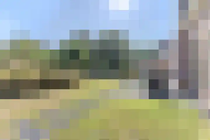 Hendrik Tollensdreef 30 Goirle thumbnail 56