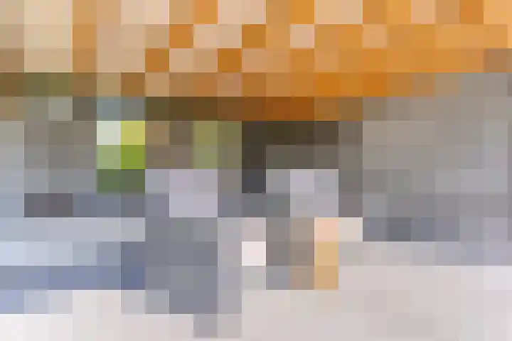 Hendrik Tollensdreef 30 Goirle thumbnail 58