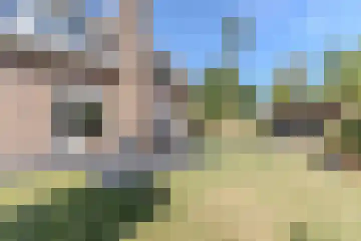 Hendrik Tollensdreef 30 Goirle thumbnail 59