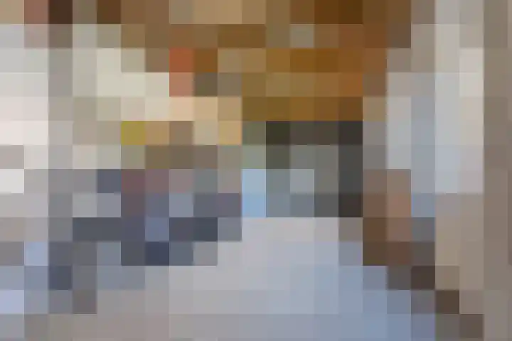 Hendrik Tollensdreef 30 Goirle thumbnail 63