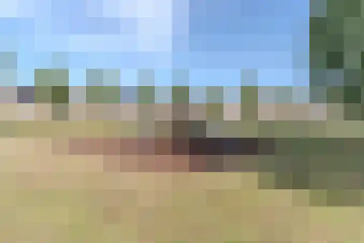 Hendrik Tollensdreef 30 Goirle thumbnail 65