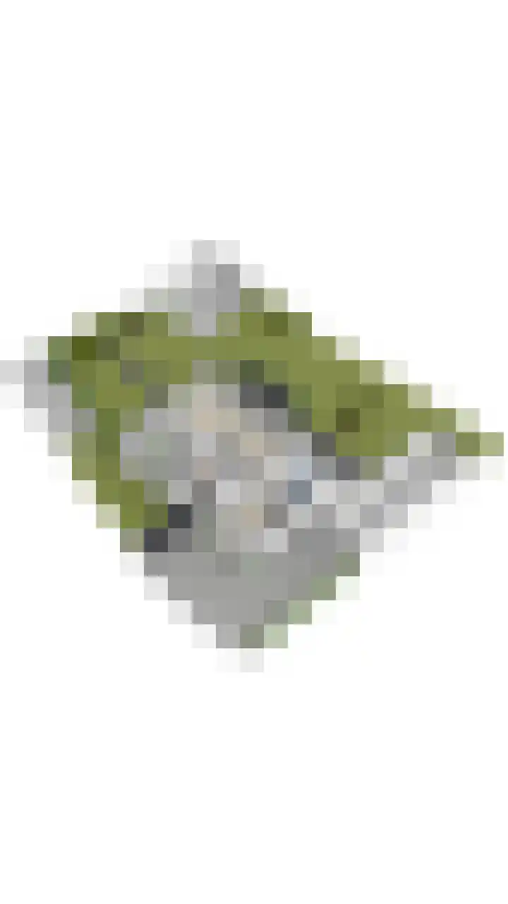Hendrik Tollensdreef 30 Goirle thumbnail 71