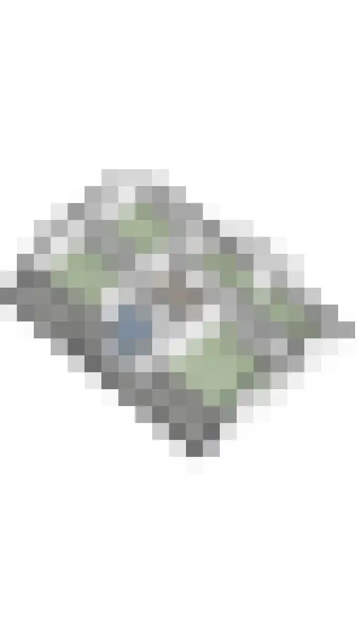 Hendrik Tollensdreef 30 Goirle thumbnail 73