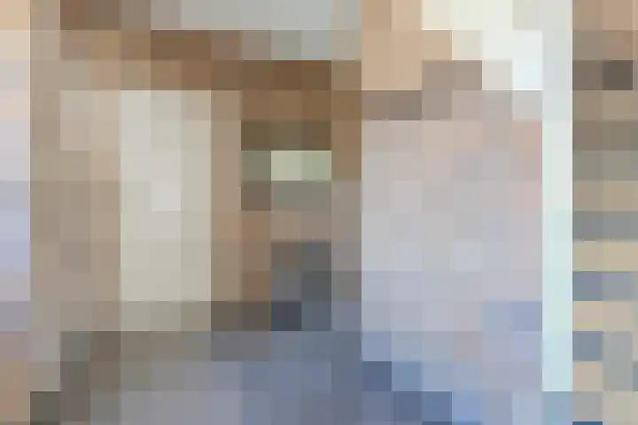 Hendrik Tollensdreef 30 Goirle thumbnail 8