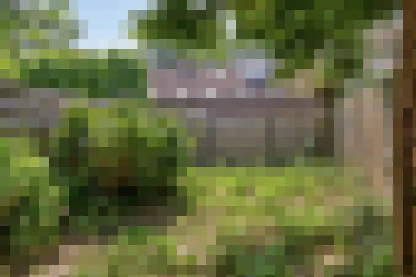 Hendrik Tollensdreef 47 Goirle thumbnail 19