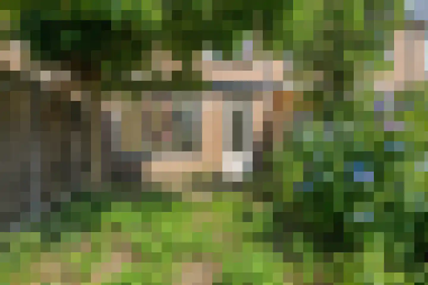 Hendrik Tollensdreef 47 Goirle thumbnail 20