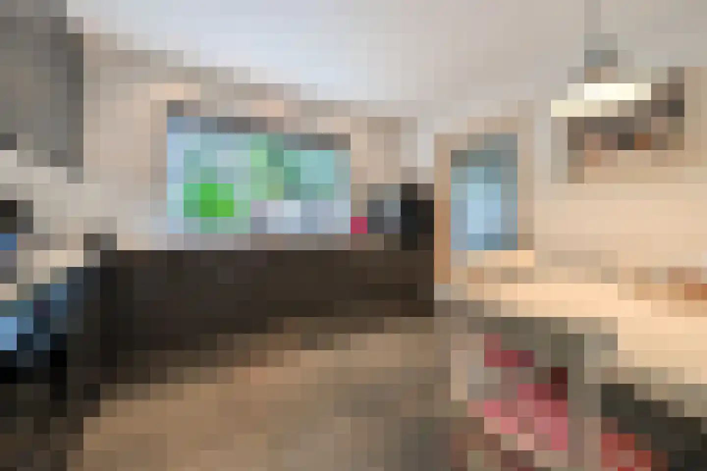 Hendrik Tollensdreef 74 Goirle thumbnail 18