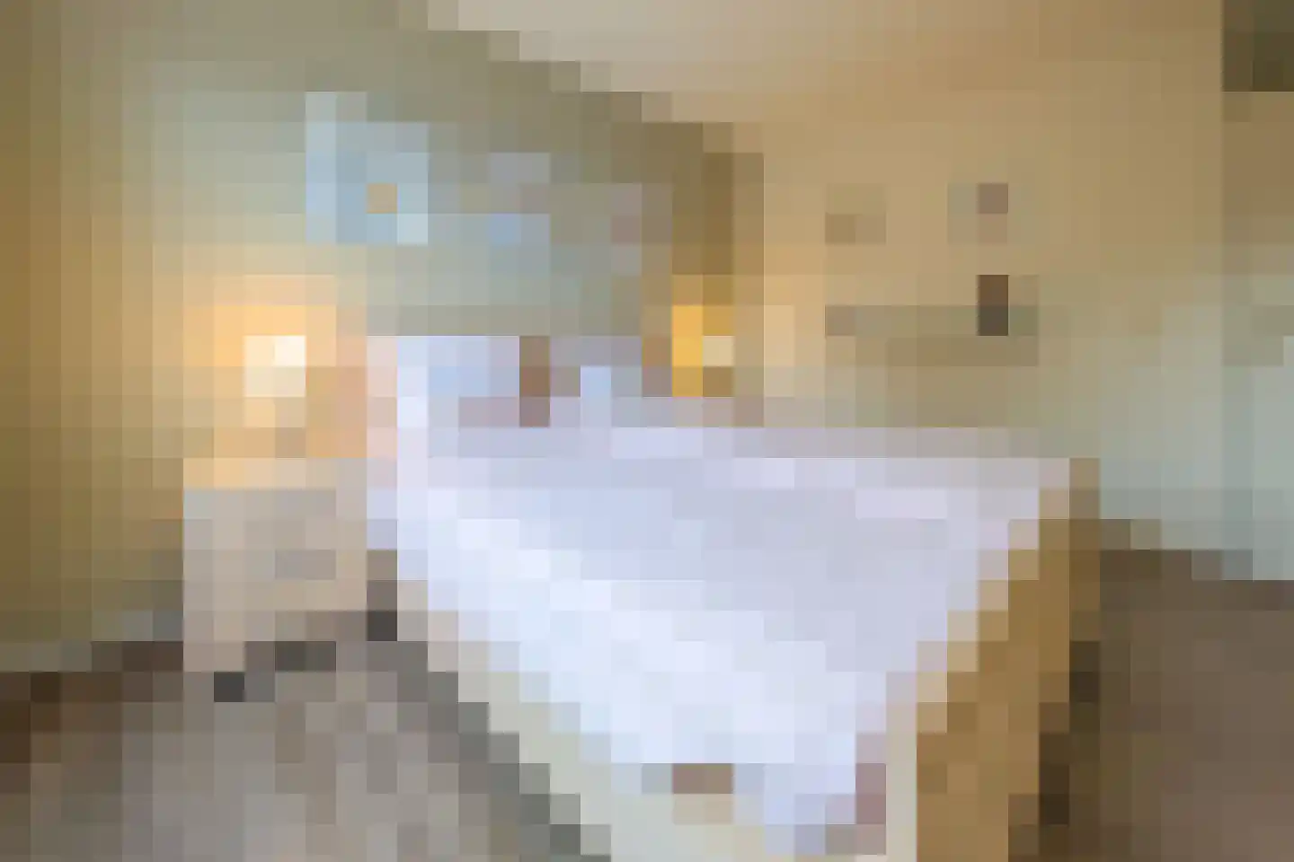 Hendrik Tollensdreef 74 Goirle thumbnail 27