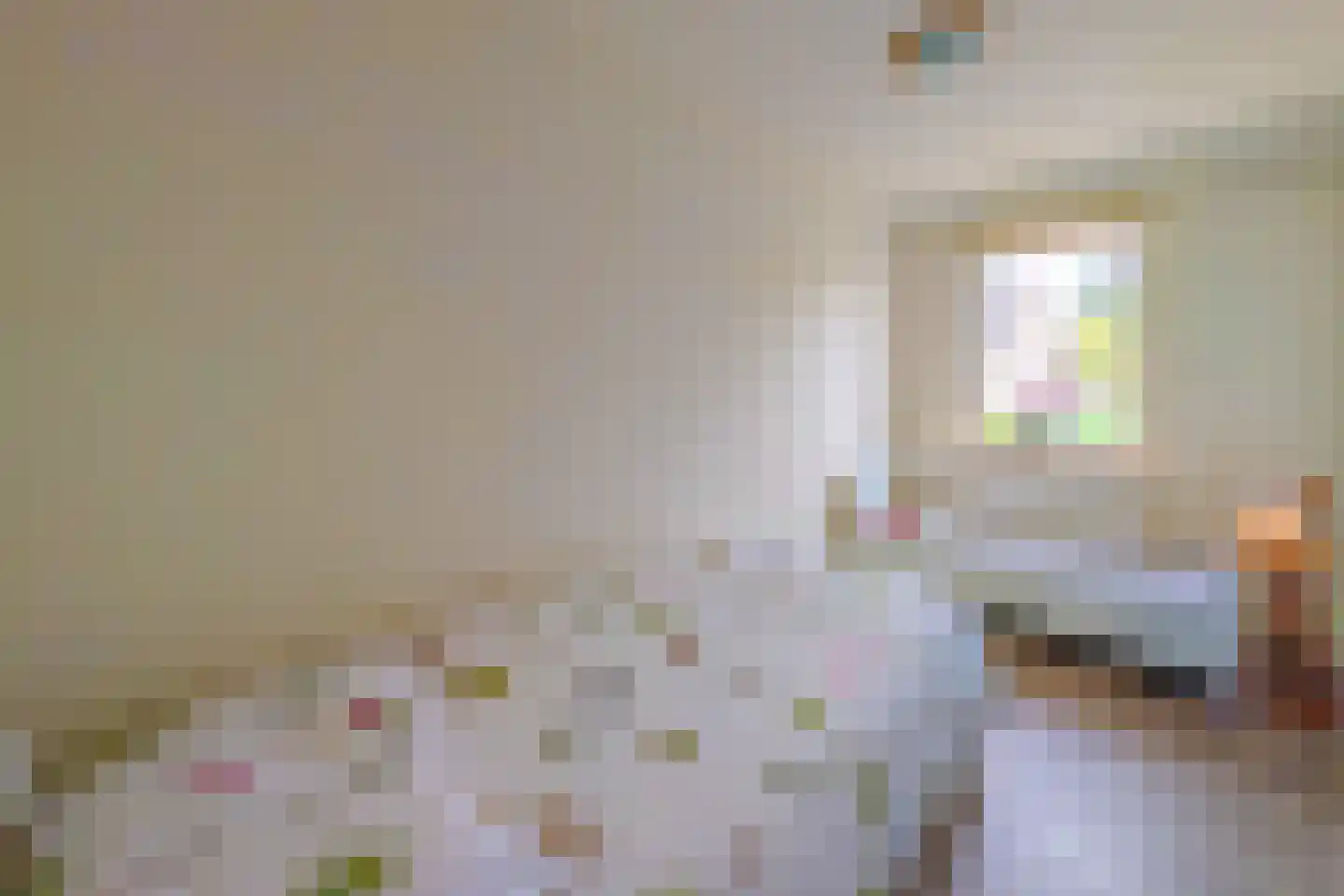 Hendrik Tollensdreef 74 Goirle thumbnail 30