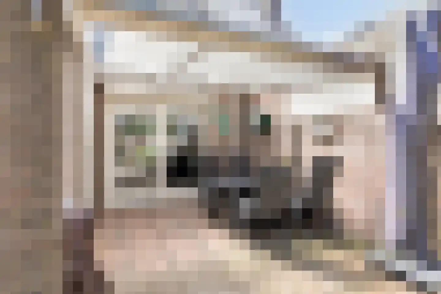 Hendrik Tollensdreef 74 Goirle thumbnail 31