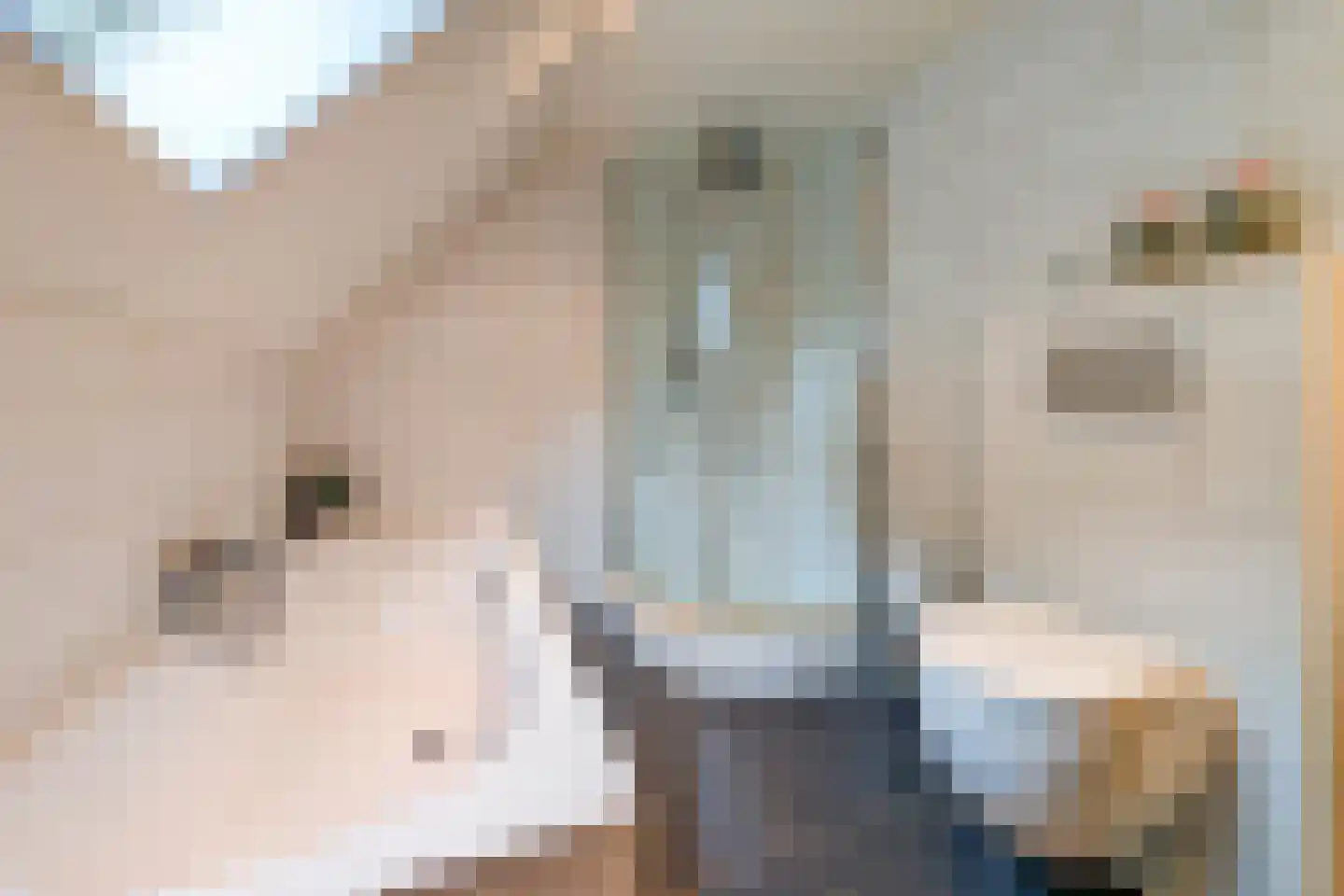 Hendrik Tollensdreef 74 Goirle thumbnail 33