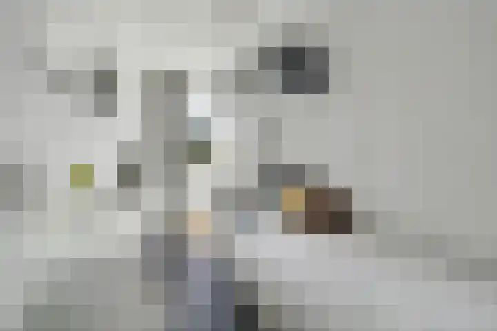 Hendrik Tollensdreef 76 Goirle thumbnail 19