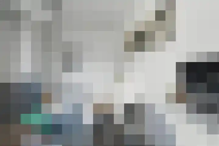 Hendrik Tollensdreef 76 Goirle thumbnail 20