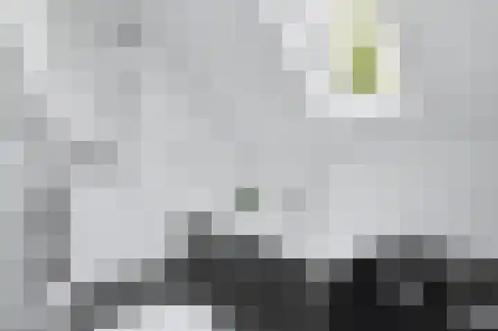 Hendrik Tollensdreef 76 Goirle thumbnail 23