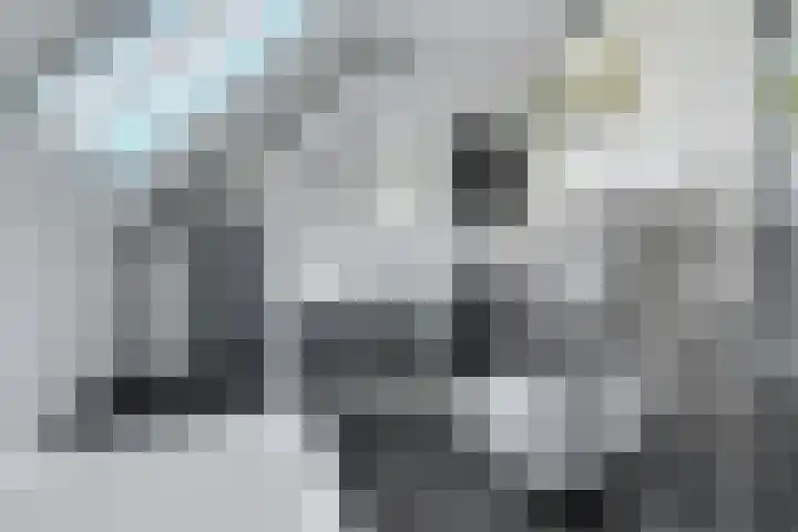 Hendrik Tollensdreef 76 Goirle thumbnail 24