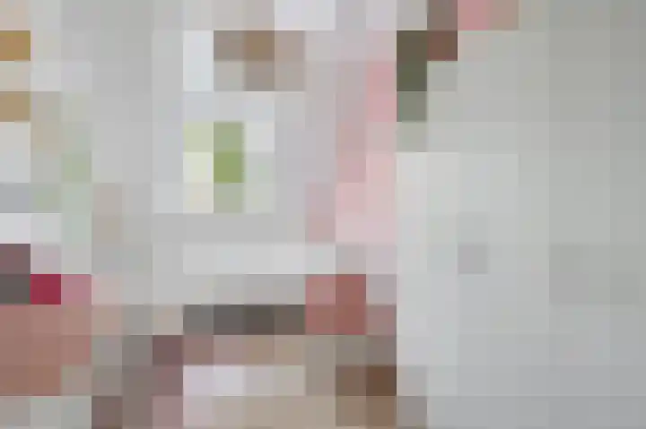 Hendrik Tollensdreef 76 Goirle thumbnail 25