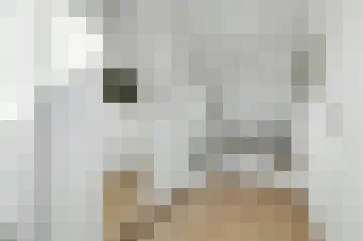 Hendrik Tollensdreef 76 Goirle thumbnail 28
