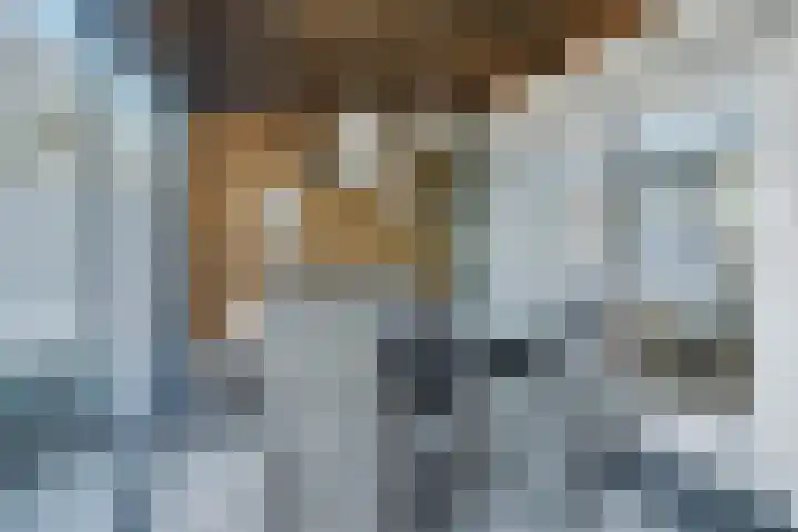 Hendrik Tollensdreef 76 Goirle thumbnail 33