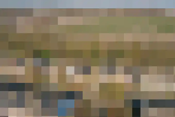 Hendrik Tollensdreef 76 Goirle thumbnail 41