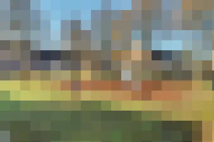Hendrik Tollensdreef 76 Goirle thumbnail 43