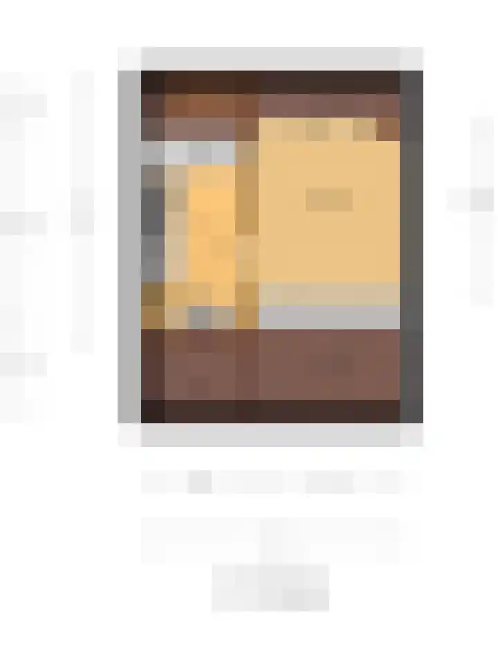 Hendrik Tollensdreef 76 Goirle thumbnail 46