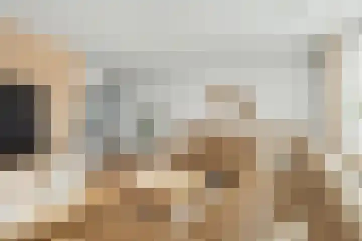 Hendrik Tollensdreef 76 Goirle thumbnail 6