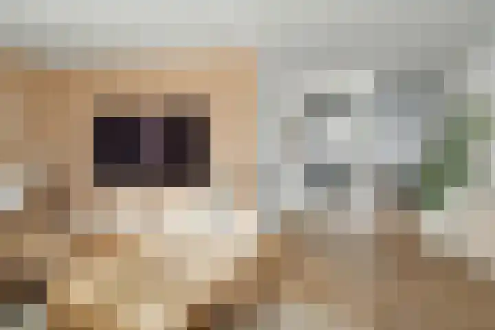 Hendrik Tollensdreef 76 Goirle thumbnail 7