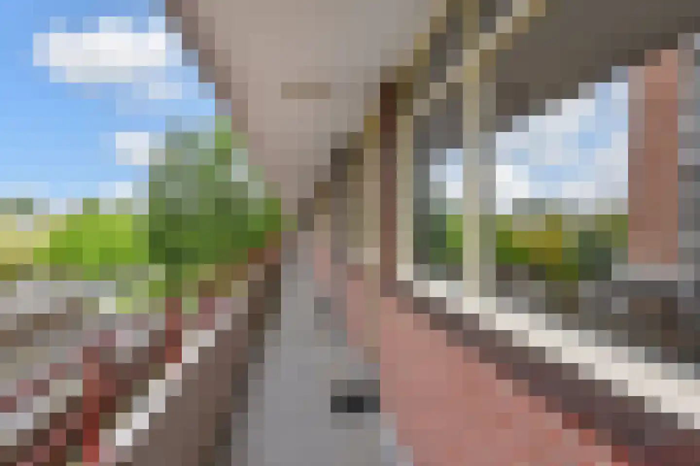 Hendrik Tollensstraat 100 Delft thumbnail 37
