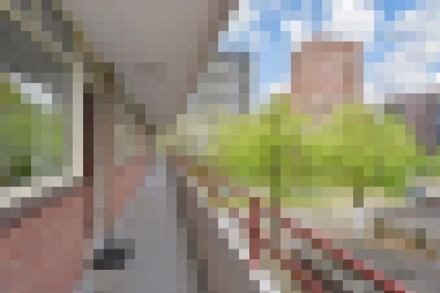 Hendrik Tollensstraat 100 Delft thumbnail 6
