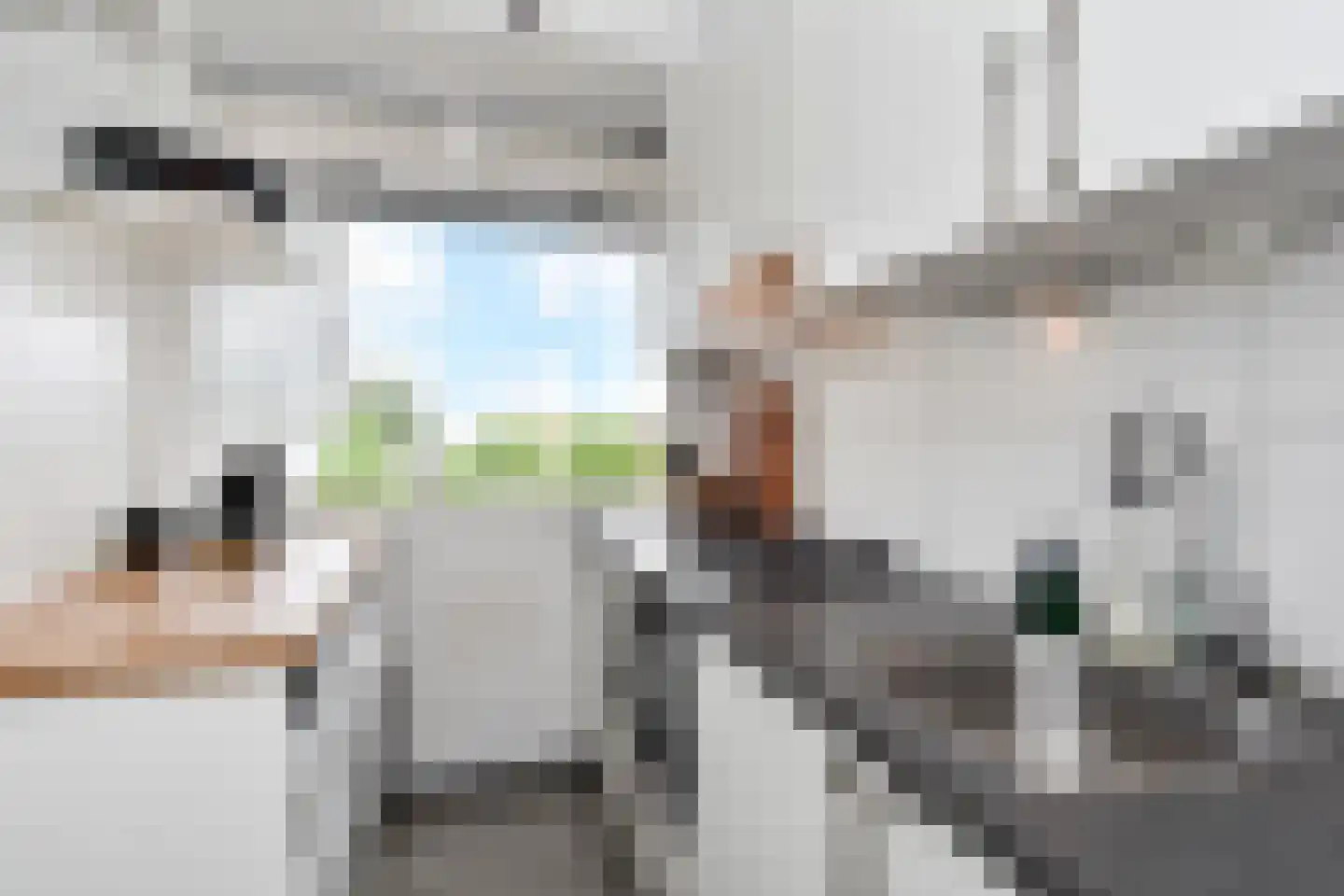 Hendrik Tollensstraat 100 Delft thumbnail 9