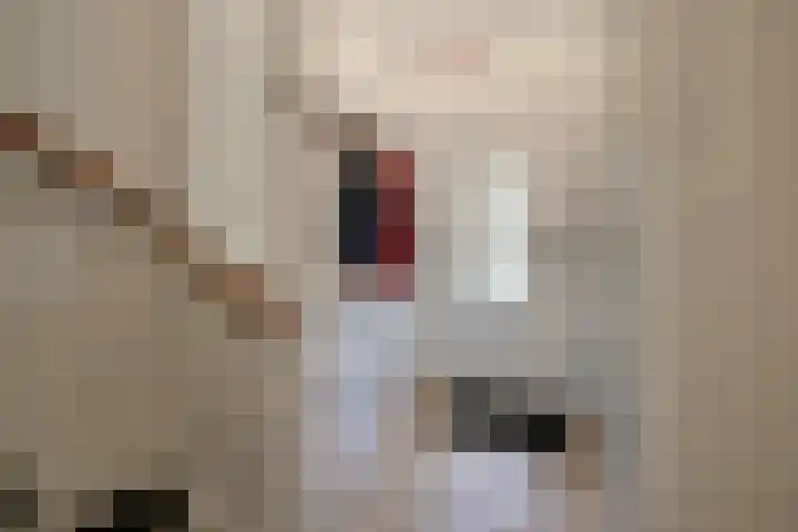 Hendrik Tollensstraat 18 Utrecht thumbnail 5