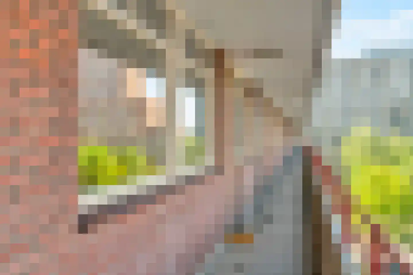 Hendrik Tollensstraat 182 Delft thumbnail 5