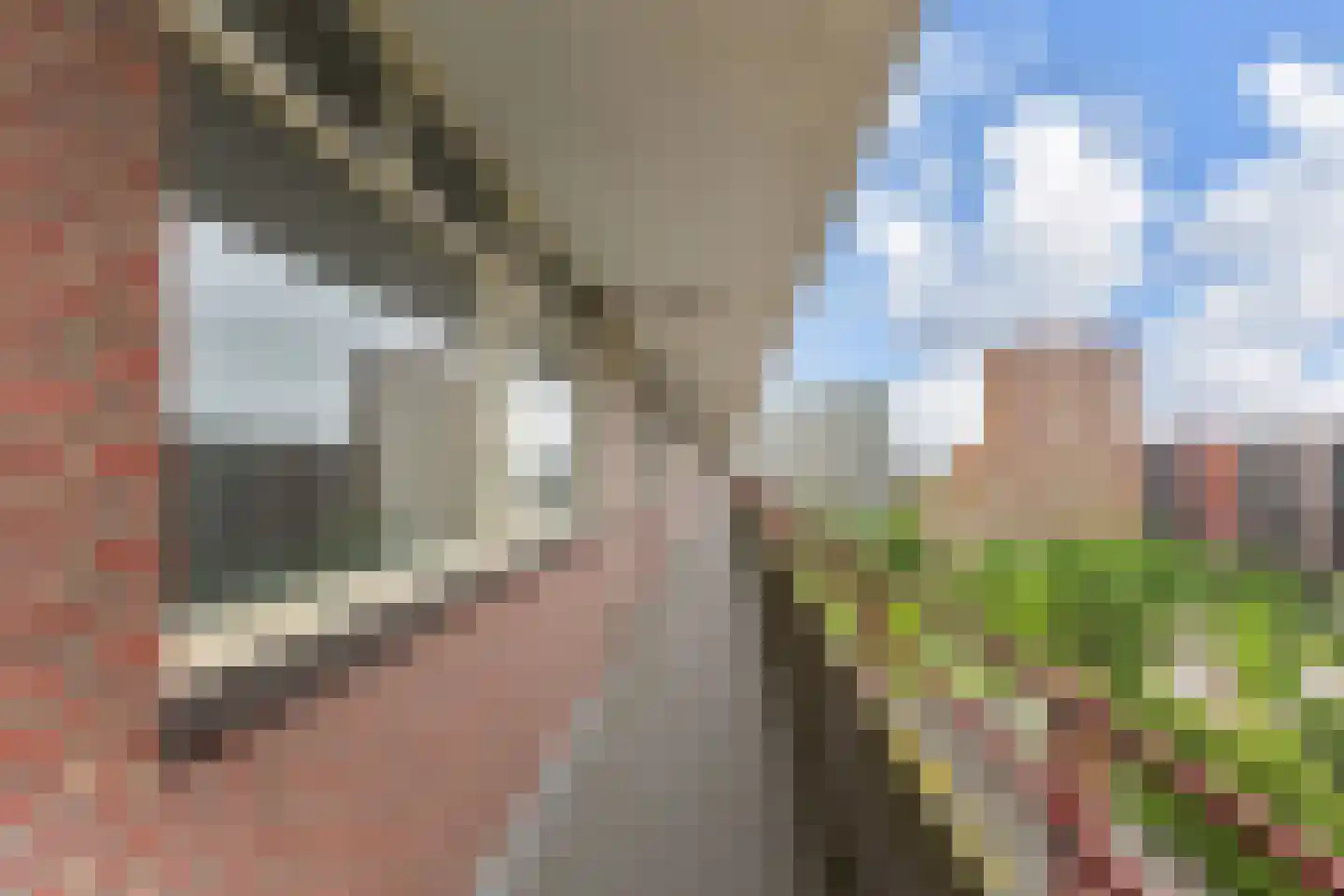 Hendrik Tollensstraat 274 Delft thumbnail 8
